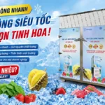 Máy cấp đông nhanh giá bao nhiêu? Cập nhật bảng giá mới nhất 2026 Máy cấp đông nhanh giá bao nhiêu?