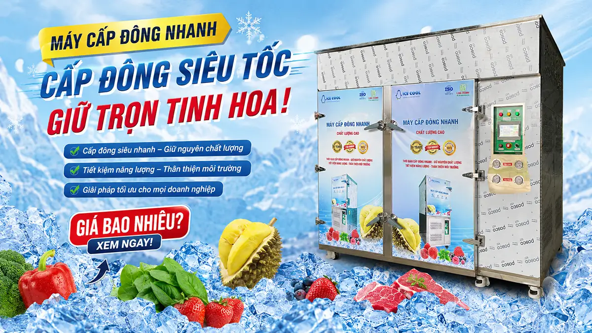 Máy cấp đông nhanh giá bao nhiêu? Cập nhật bảng giá mới nhất 2025