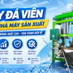 Kinh nghiệm chọn mua máy đá viên cho nhà máy sản xuất quy mô vừa và lớn Máy đá viên cho nhà máy sản xuất