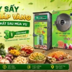 Thực tế chứng minh máy sấy giúp giảm tổn thất sau mùa vụ hiệu quả ra sao? Máy sấy giúp giảm tổn thất sau mùa vụ