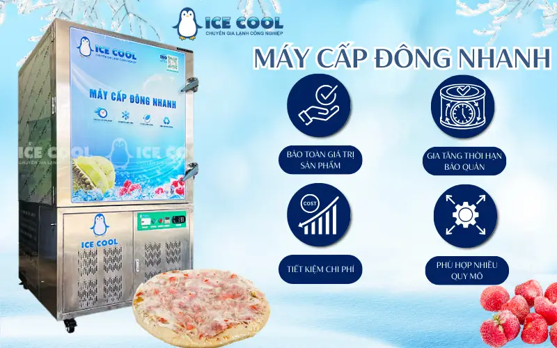 Máy cấp đông nhanh giá bao nhiêu?