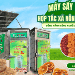 Máy sấy cho hợp tác xã nông nghiệp