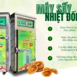 Máy sấy nhiệt đối lưu chất lượng cao: Nên đầu tư quy mô nào là hợp lý? Máy sấy nhiệt đối lưu chất lượng cao