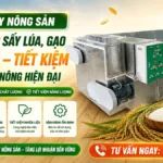 Máy sấy nông sản phù hợp cho lúa gạo – Giải pháp bảo quản hạt sau thu hoạch hiệu quả Máy sấy nông sản phù hợp cho lúa gạo