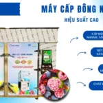 Máy cấp đông nhanh với hiệu suất cao – Công nghệ vượt trội từ thương hiệu ICE COOL Việt Nam Máy cấp đông nhanh với hiệu suất cao – Công nghệ vượt trội từ thương hiệu ICE COOL Việt Nam