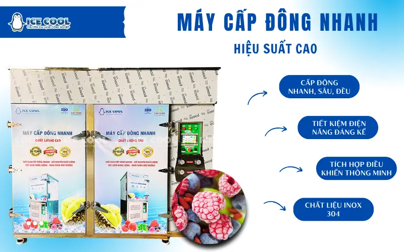 Máy cấp đông nhanh với hiệu suất cao – Công nghệ vượt trội từ thương hiệu ICE COOL Việt Nam