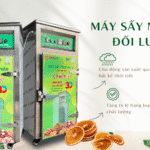 Máy sấy nhiệt đối lưu giá cả hợp lý