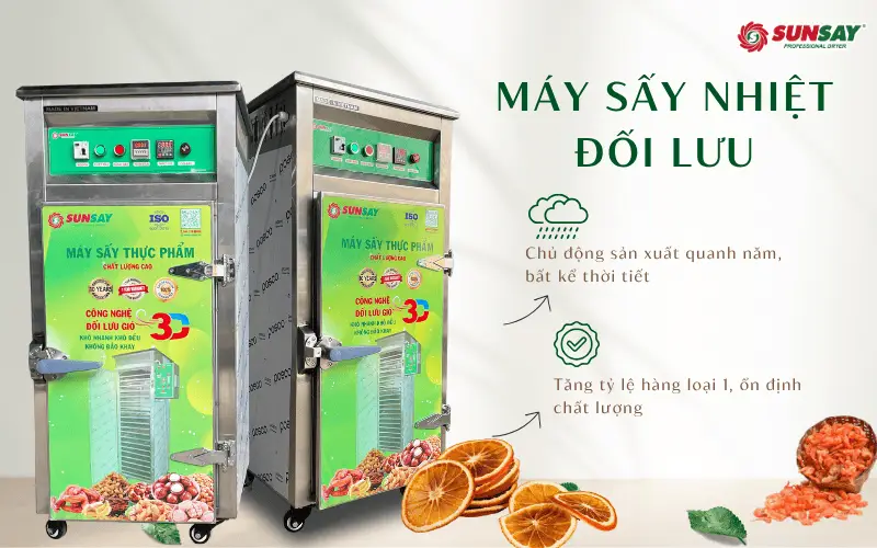 Máy sấy nhiệt đối lưu giá cả hợp lý