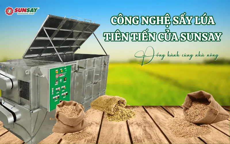 Đồng hành cùng nhà nông với công nghệ sấy lúa tiên tiến của SUNSAY