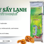 Khởi nghiệp chế biến nông sản với máy sấy lạnh công suất 100kg một mẻ – Bước khởi đầu thông minh