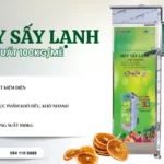 Khởi nghiệp chế biến nông sản với máy sấy lạnh công suất 100kg một mẻ – Bước khởi đầu thông minh Khởi nghiệp chế biến nông sản với máy sấy lạnh công suất 100kg một mẻ – Bước khởi đầu thông minh