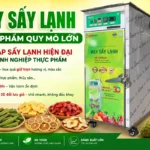 Có nên đầu tư máy sấy lạnh thực phẩm quy mô lớn cho cơ sở sản xuất không? Máy sấy lớn thực phẩm quy mô lớn