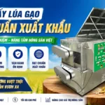 Máy sấy lúa gạo đạt chuẩn xuất khẩu – Giải pháp tối ưu cho mùa vụ và thời tiết thất thường Máy sấy lúa gạo đạt chuẩn xuất khẩu