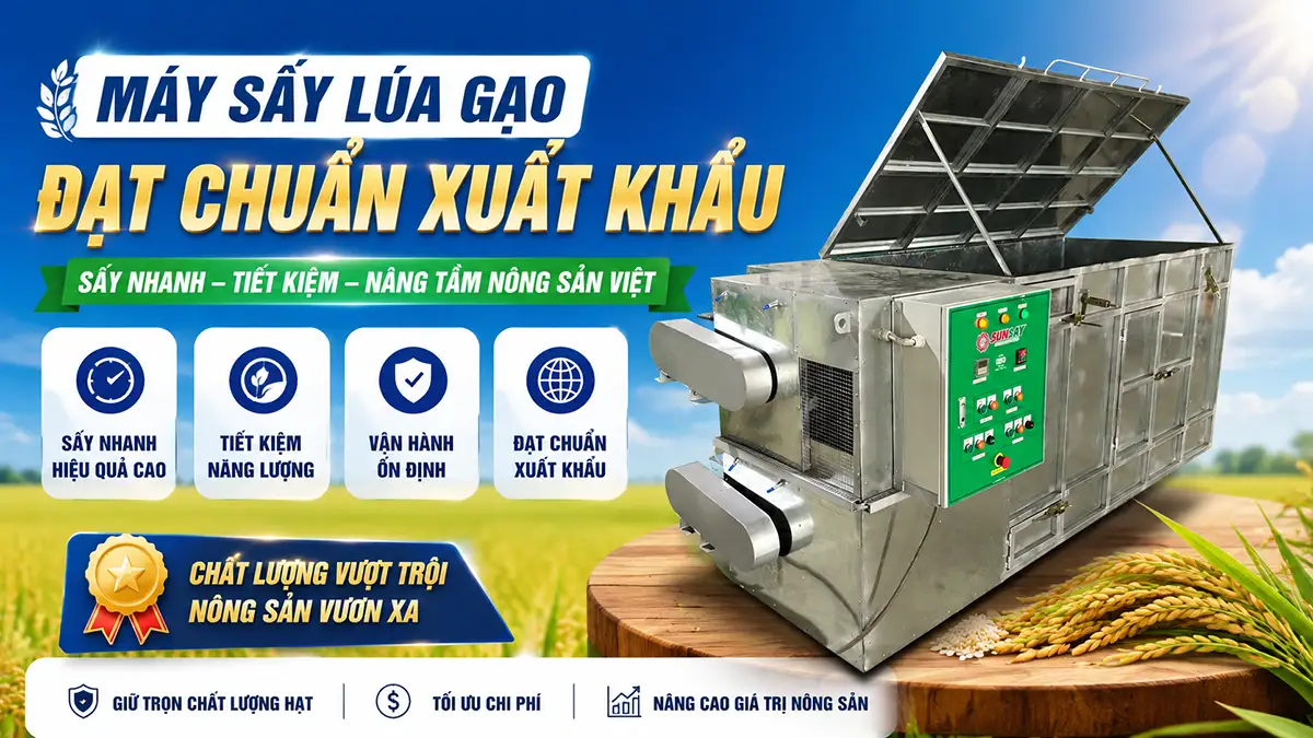 Máy sấy lúa gạo đạt chuẩn xuất khẩu – Giải pháp tối ưu cho mùa vụ và thời tiết thất thường