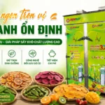 Máy sấy nhiệt đối lưu vận hành ổn định có thực sự cần thiết cho mô hình sấy chuyên nghiệp? Máy sấy nhiệt đối lưu vận hành ổn định
