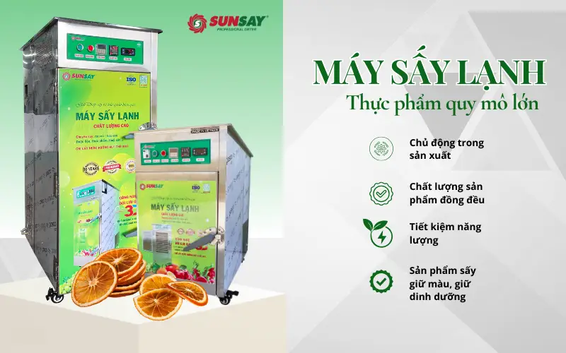 Máy sấy lạnh thực phẩm quy mô lớn