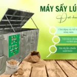 Máy sấy lúa gạo đạt chuẩn xuất khẩu – Giải pháp tối ưu cho mùa vụ và thời tiết thất thường Máy sấy lúa gạo đạt chuẩn xuất khẩu – Giải pháp tối ưu cho mùa vụ và thời tiết thất thường