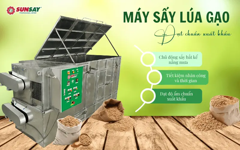 Máy sấy lúa gạo đạt chuẩn xuất khẩu – Giải pháp tối ưu cho mùa vụ và thời tiết thất thường