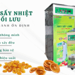 Máy sấy nhiệt đối lưu vận hành ổn định có thực sự cần thiết cho mô hình sấy chuyên nghiệp?