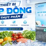 Ứng dụng thiết bị cấp đông thực phẩm trong chuỗi sản xuất và phân phối hiện nay Thiết bị cấp đông thực phẩm