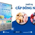 Ứng dụng thiết bị cấp đông thực phẩm trong chuỗi sản xuất và phân phối hiện nay