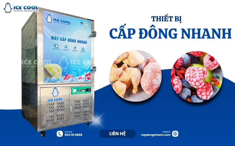Ứng dụng thiết bị cấp đông thực phẩm trong chuỗi sản xuất và phân phối hiện nay