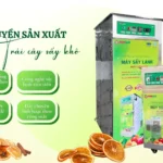Dây chuyền sản xuất trái cây sấy khô SUNSAY: Lựa chọn cho doanh nghiệp chế biến sâu Dây chuyền sản xuất trái cây sấy khô SUNSAY