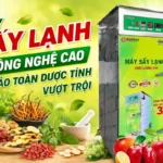 Máy sấy lạnh dược liệu công nghệ cao – Kiểm soát nhiệt độ chính xác, giữ trọn dược tính Máy sấy lạnh dược liệu công nghệ cao