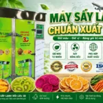 Máy sấy lạnh phù hợp cho xuất khẩu trái cây sấy, dược liệu và thực phẩm cao cấp Máy sấy lạnh phù hợp cho xuất khẩu