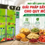 Máy sấy lạnh phù hợp quy mô lớn – Giải pháp sấy ổn định cho nhà máy chế biến chuyên nghiệp Máy sấy lạnh phù hợp quy mô lớn
