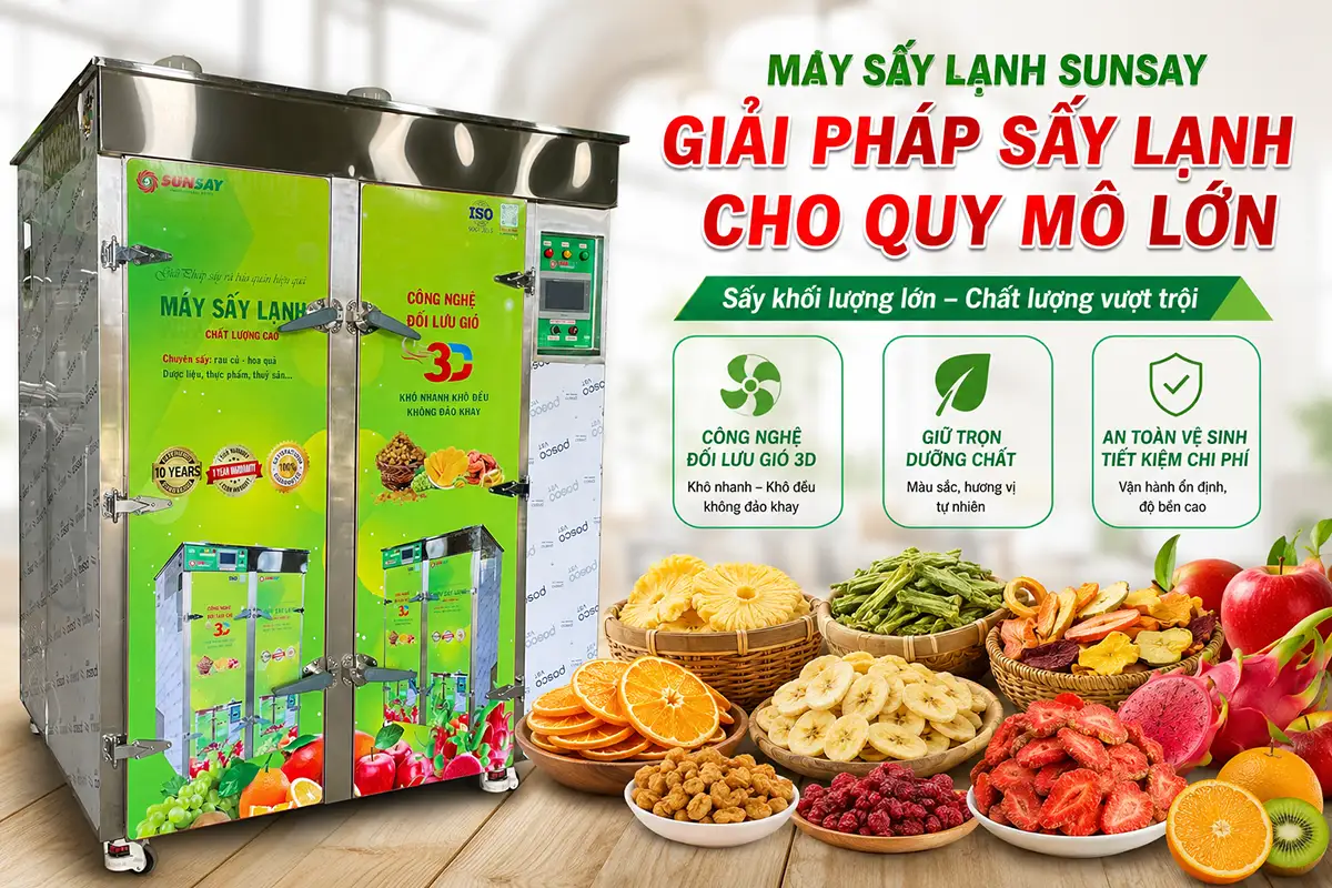 Máy sấy lạnh phù hợp quy mô lớn – Giải pháp sấy ổn định cho nhà máy chế biến chuyên nghiệp