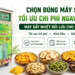 Máy sấy nhiệt đối lưu cho cơ sở nhỏ: Nên chọn công suất nào để tối ưu chi phí? Máy sấy nhiệt đối lưu cho cơ sở nhỏ