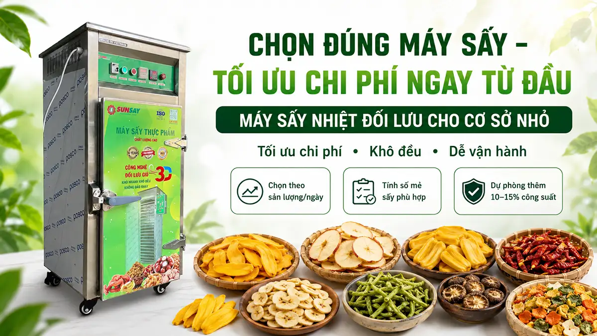 Máy sấy nhiệt đối lưu cho cơ sở nhỏ: Nên chọn công suất nào để tối ưu chi phí?