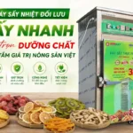 Máy sấy nhiệt đối lưu phù hợp sấy nhanh giúp rút ngắn thời gian, tăng hiệu suất ra sao? Máy sấy nhiệt đối lưu phù hợp sấy nhanh