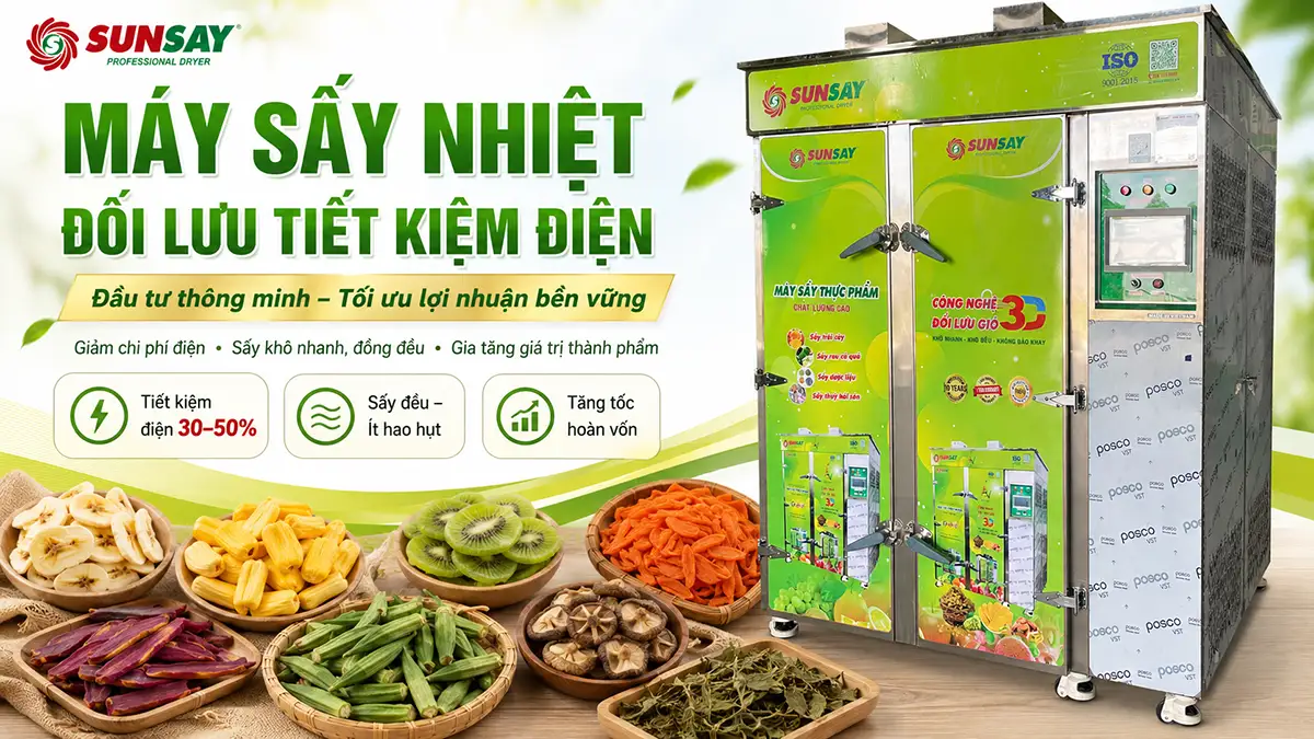 Máy sấy nhiệt đối lưu tiết kiệm điện và câu chuyện tối ưu lợi nhuận sau đầu tư