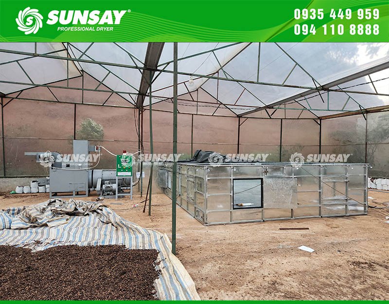 Bàn giao máy sấy vĩ ngang 5 tấn sấy cà phê tại Đắk Nông - Nâng cao chất lượng hạt cà phê sau thu hoạch