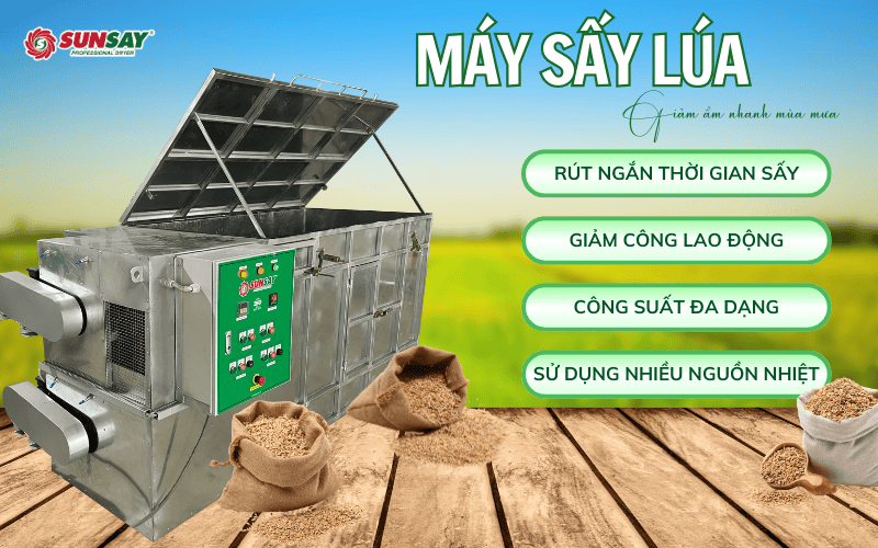 Máy sấy lúa giảm ẩm nhanh mùa mưa giúp giữ chất lượng hạt và ổn định giá bán