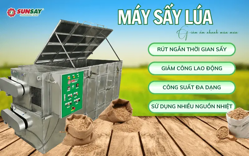 Máy sấy lúa giảm ẩm nhanh mùa mưa giúp giữ chất lượng hạt và ổn định giá bán