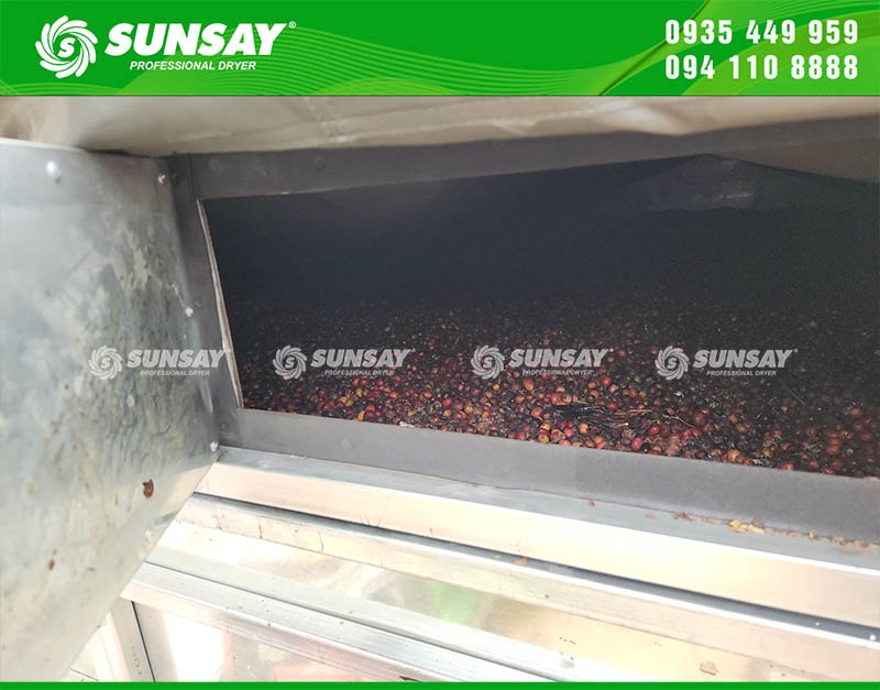 Máy sấy vĩ ngang sấy cà phê với số lượng lớn, hoạt động ổn định