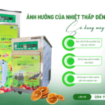 Ảnh hưởng của nhiệt thấp đến vitamin: Vì sao thực phẩm sấy lạnh giữ dinh dưỡng tốt hơn? Ảnh hưởng của nhiệt thấp đến vitamin