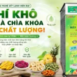 Bản chất của việc làm khô bằng khí khô và vai trò quyết định đến chất lượng sản phẩm Bản chất của việc làm khô bằng khí khô