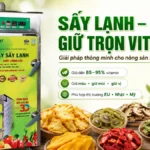 Máy sấy lạnh không gây mất vitamin: Lựa chọn thông minh cho doanh nghiệp xuất khẩu Máy sấy lạnh không gây mất vitamin