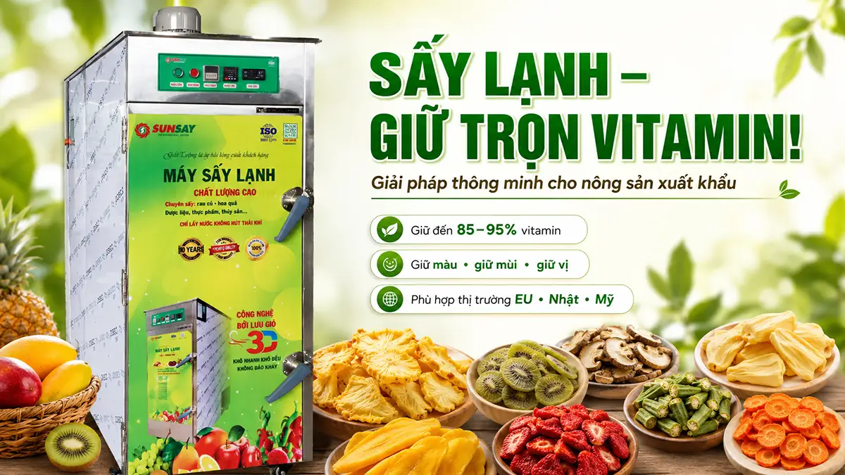 Máy sấy lạnh không gây mất vitamin: Lựa chọn thông minh cho doanh nghiệp xuất khẩu