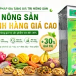 Máy sấy nâng giá trị sản phẩm lên 30%: Bài toán đầu tư hiệu quả cho doanh nghiệp nông nghiệp Máy sấy nâng giá trị sản phẩm lên 30%