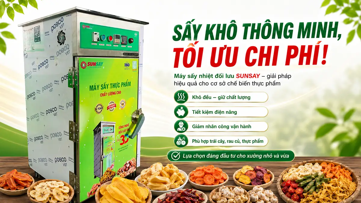 Máy sấy nhiệt đối lưu sấy thực phẩm
