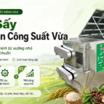 Máy sấy nông sản công suất vừa – Lộ trình đầu tư hiệu quả từ xưởng nhỏ đến nhà máy tiêu chuẩn Máy sấy nông sản công suất vừa