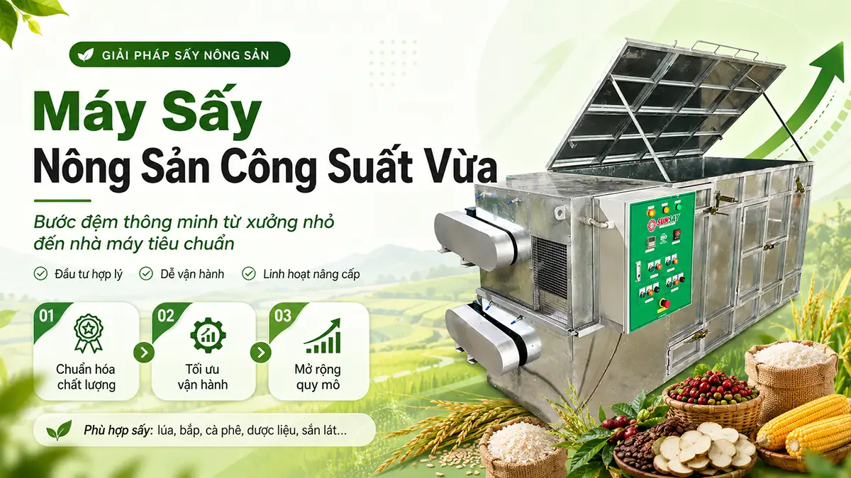 Máy sấy nông sản công suất vừa – Lộ trình đầu tư hiệu quả từ xưởng nhỏ đến nhà máy tiêu chuẩn