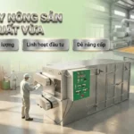 Máy sấy nông sản công suất vừa – Lộ trình đầu tư hiệu quả từ xưởng nhỏ đến nhà máy tiêu chuẩn Máy sấy nông sản công suất vừa – Lộ trình đầu tư hiệu quả từ xưởng nhỏ đến nhà máy tiêu chuẩn