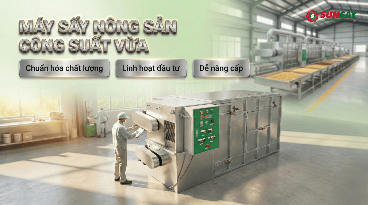 Máy sấy nông sản công suất vừa – Lộ trình đầu tư hiệu quả từ xưởng nhỏ đến nhà máy tiêu chuẩn