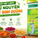 Kinh doanh thực phẩm sấy hiệu quả với máy sấy lạnh giữ nguyên chất dinh dưỡng Máy sấy lạnh giữ nguyên chất dinh dưỡng